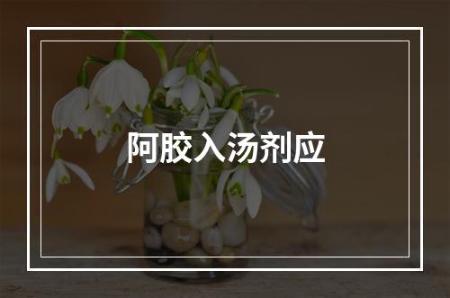 阿胶入汤剂应