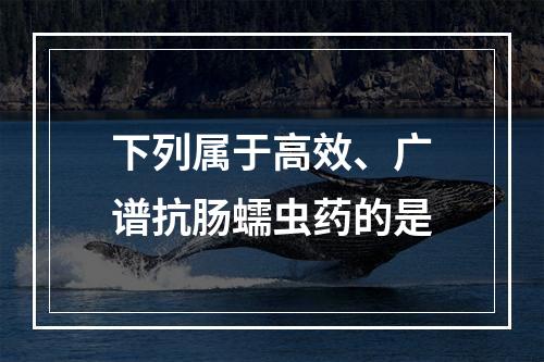 下列属于高效、广谱抗肠蠕虫药的是