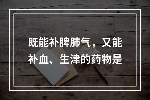 既能补脾肺气，又能补血、生津的药物是