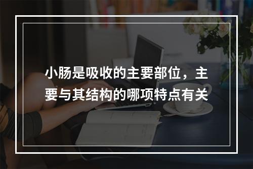 小肠是吸收的主要部位，主要与其结构的哪项特点有关