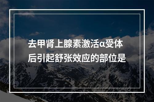 去甲肾上腺素激活α受体后引起舒张效应的部位是