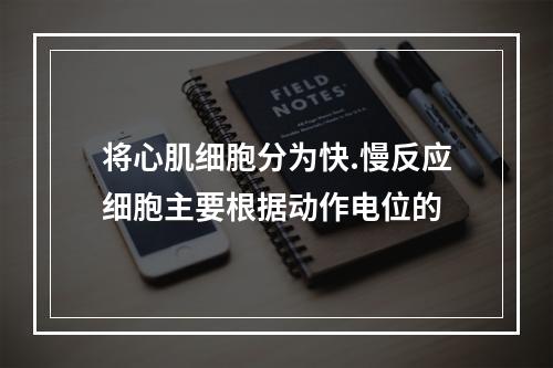 将心肌细胞分为快.慢反应细胞主要根据动作电位的