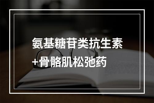 氨基糖苷类抗生素+骨骼肌松弛药