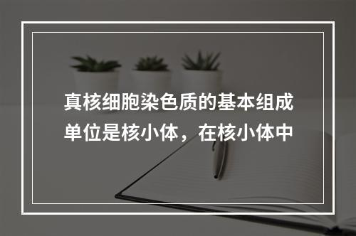 真核细胞染色质的基本组成单位是核小体，在核小体中