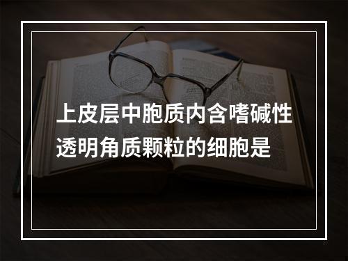 上皮层中胞质内含嗜碱性透明角质颗粒的细胞是