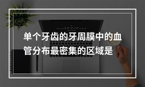 单个牙齿的牙周膜中的血管分布最密集的区域是