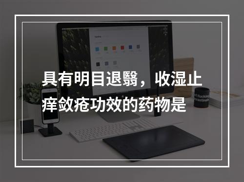 具有明目退翳，收湿止痒敛疮功效的药物是