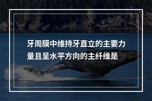 牙周膜中维持牙直立的主要力量且呈水平方向的主纤维是