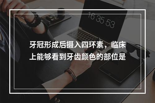 牙冠形成后摄入四环素，临床上能够看到牙齿颜色的部位是