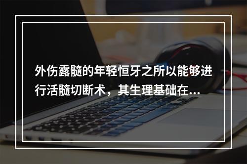 外伤露髓的年轻恒牙之所以能够进行活髓切断术，其生理基础在于牙