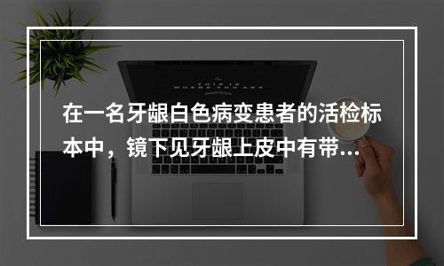 在一名牙龈白色病变患者的活检标本中，镜下见牙龈上皮中有带突起