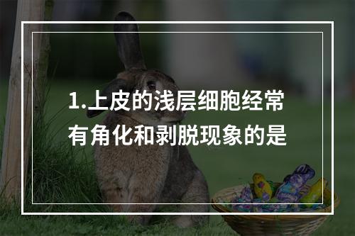 1.上皮的浅层细胞经常有角化和剥脱现象的是