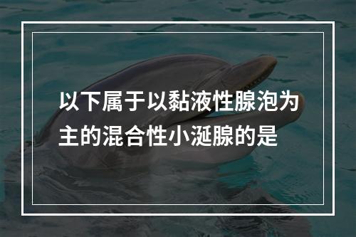 以下属于以黏液性腺泡为主的混合性小涎腺的是