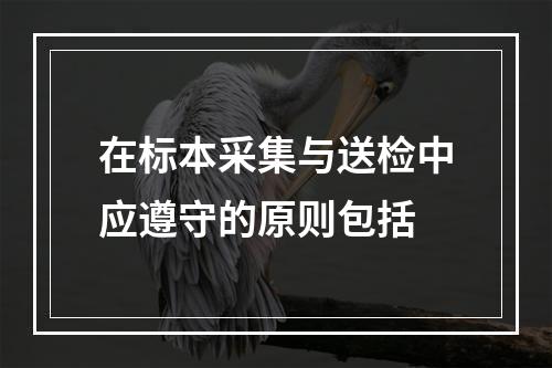 在标本采集与送检中应遵守的原则包括