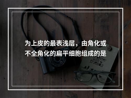 为上皮的最表浅层，由角化或不全角化的扁平细胞组成的是