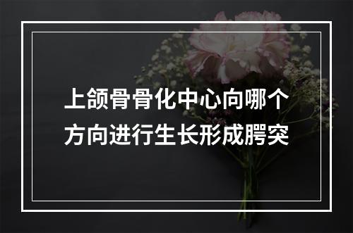 上颌骨骨化中心向哪个方向进行生长形成腭突