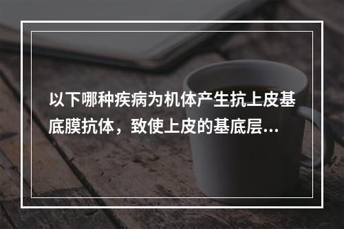 以下哪种疾病为机体产生抗上皮基底膜抗体，致使上皮的基底层下疱