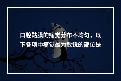 口腔黏膜的痛觉分布不均匀，以下各项中痛觉最为敏锐的部位是