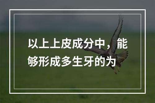 以上上皮成分中，能够形成多生牙的为