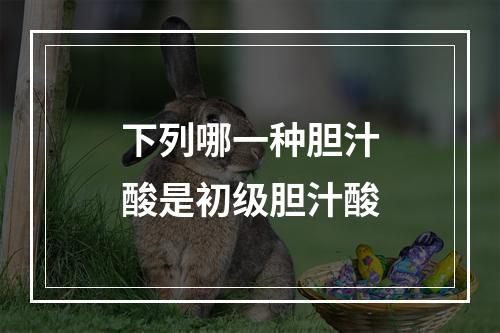 下列哪一种胆汁酸是初级胆汁酸