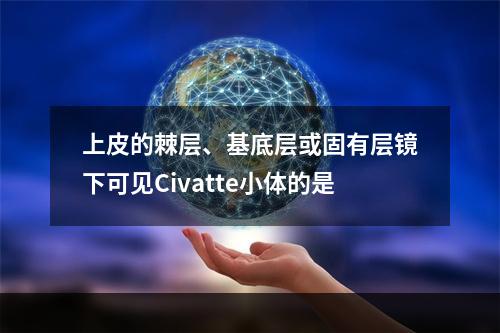 上皮的棘层、基底层或固有层镜下可见Civatte小体的是