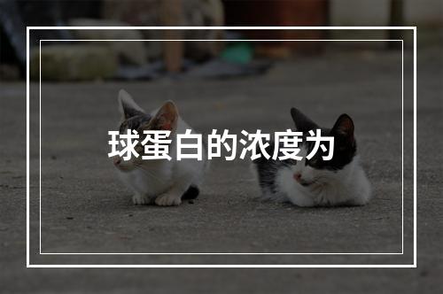 球蛋白的浓度为