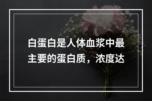 白蛋白是人体血浆中最主要的蛋白质，浓度达