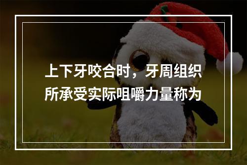 上下牙咬合时，牙周组织所承受实际咀嚼力量称为