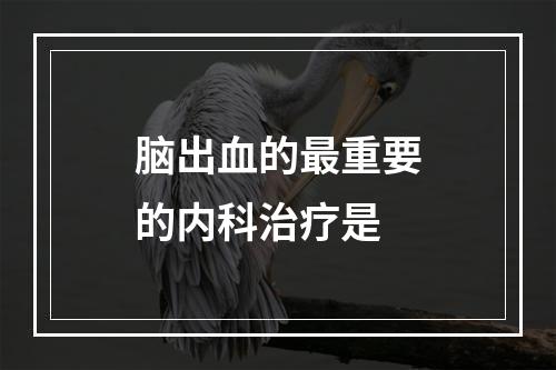 脑出血的最重要的内科治疗是