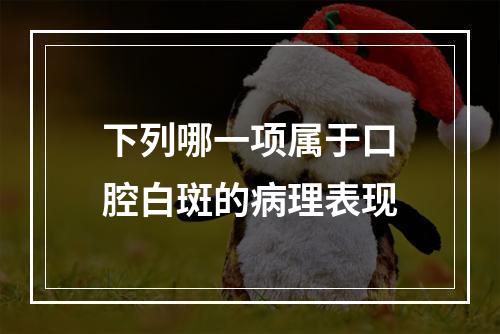 下列哪一项属于口腔白斑的病理表现