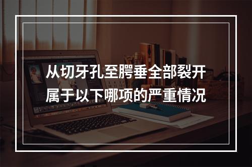 从切牙孔至腭垂全部裂开属于以下哪项的严重情况