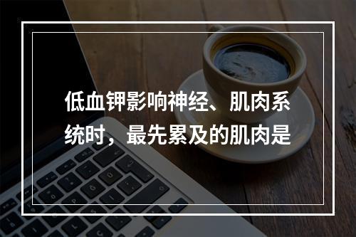 低血钾影响神经、肌肉系统时，最先累及的肌肉是