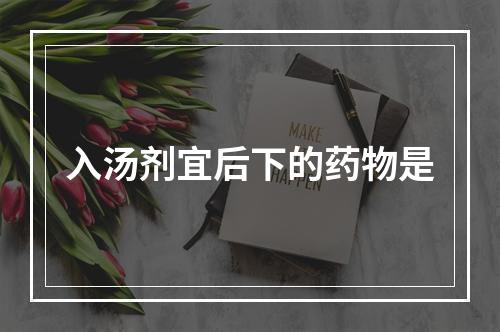 入汤剂宜后下的药物是