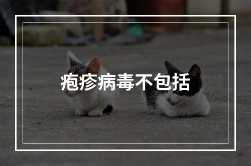 疱疹病毒不包括