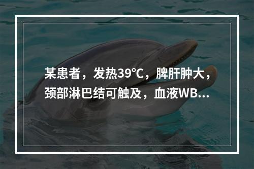 某患者，发热39℃，脾肝肿大，颈部淋巴结可触及，血液WBC增