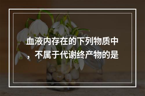 血液内存在的下列物质中，不属于代谢终产物的是