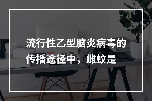 流行性乙型脑炎病毒的传播途径中，雌蚊是