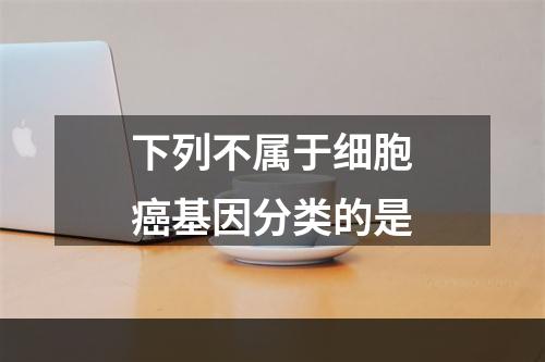 下列不属于细胞癌基因分类的是