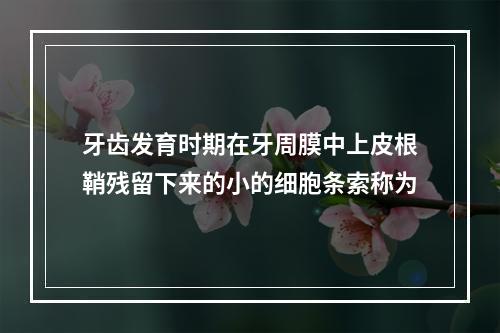 牙齿发育时期在牙周膜中上皮根鞘残留下来的小的细胞条索称为