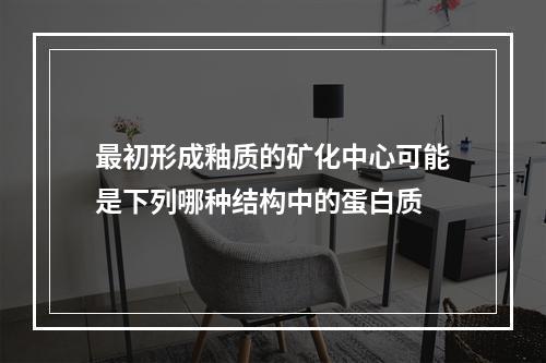 最初形成釉质的矿化中心可能是下列哪种结构中的蛋白质