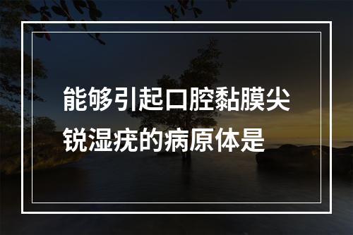 能够引起口腔黏膜尖锐湿疣的病原体是