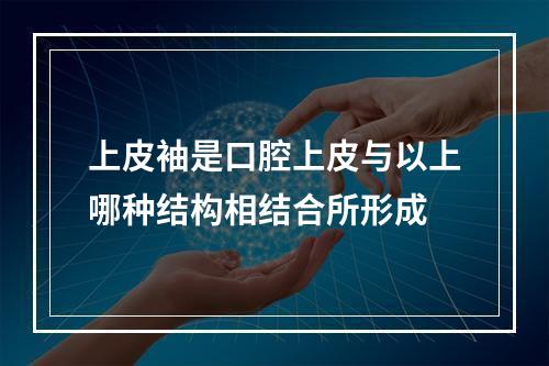 上皮袖是口腔上皮与以上哪种结构相结合所形成