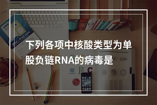 下列各项中核酸类型为单股负链RNA的病毒是