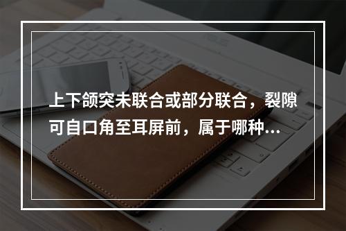 上下颌突未联合或部分联合，裂隙可自口角至耳屏前，属于哪种表现