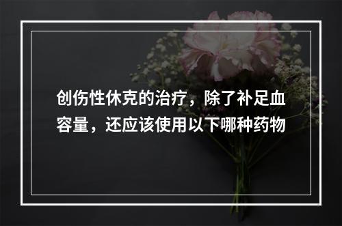 创伤性休克的治疗，除了补足血容量，还应该使用以下哪种药物