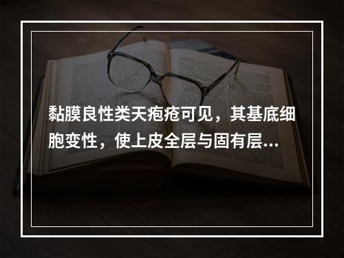 黏膜良性类天疱疮可见，其基底细胞变性，使上皮全层与固有层分离