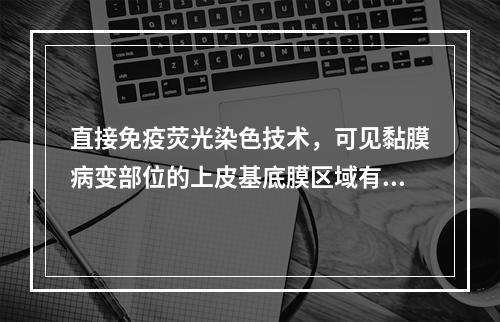 直接免疫荧光染色技术，可见黏膜病变部位的上皮基底膜区域有免疫