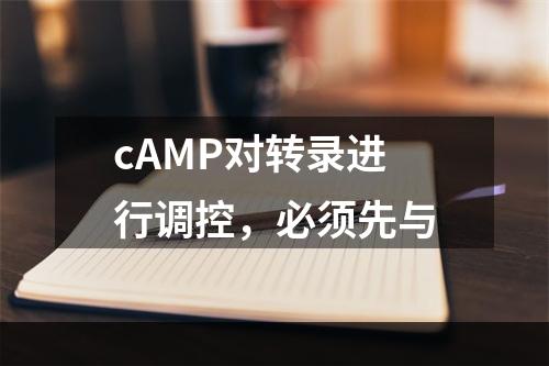 cAMP对转录进行调控，必须先与