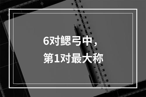 6对鳃弓中，第1对最大称