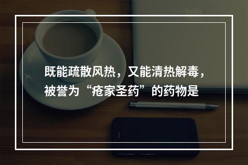 既能疏散风热，又能清热解毒，被誉为“疮家圣药”的药物是